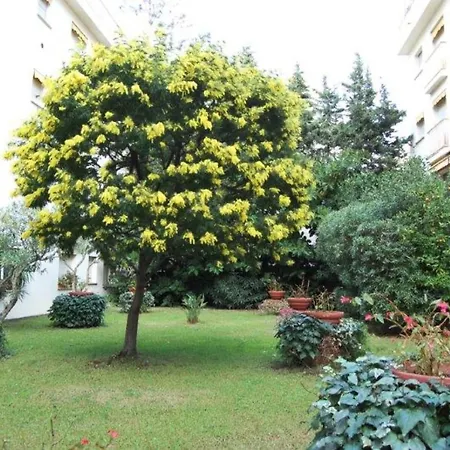 Du Casino - Giotto - Petit 2p Climatise Plein Centre Avec Terrasse Calme Mae-4221